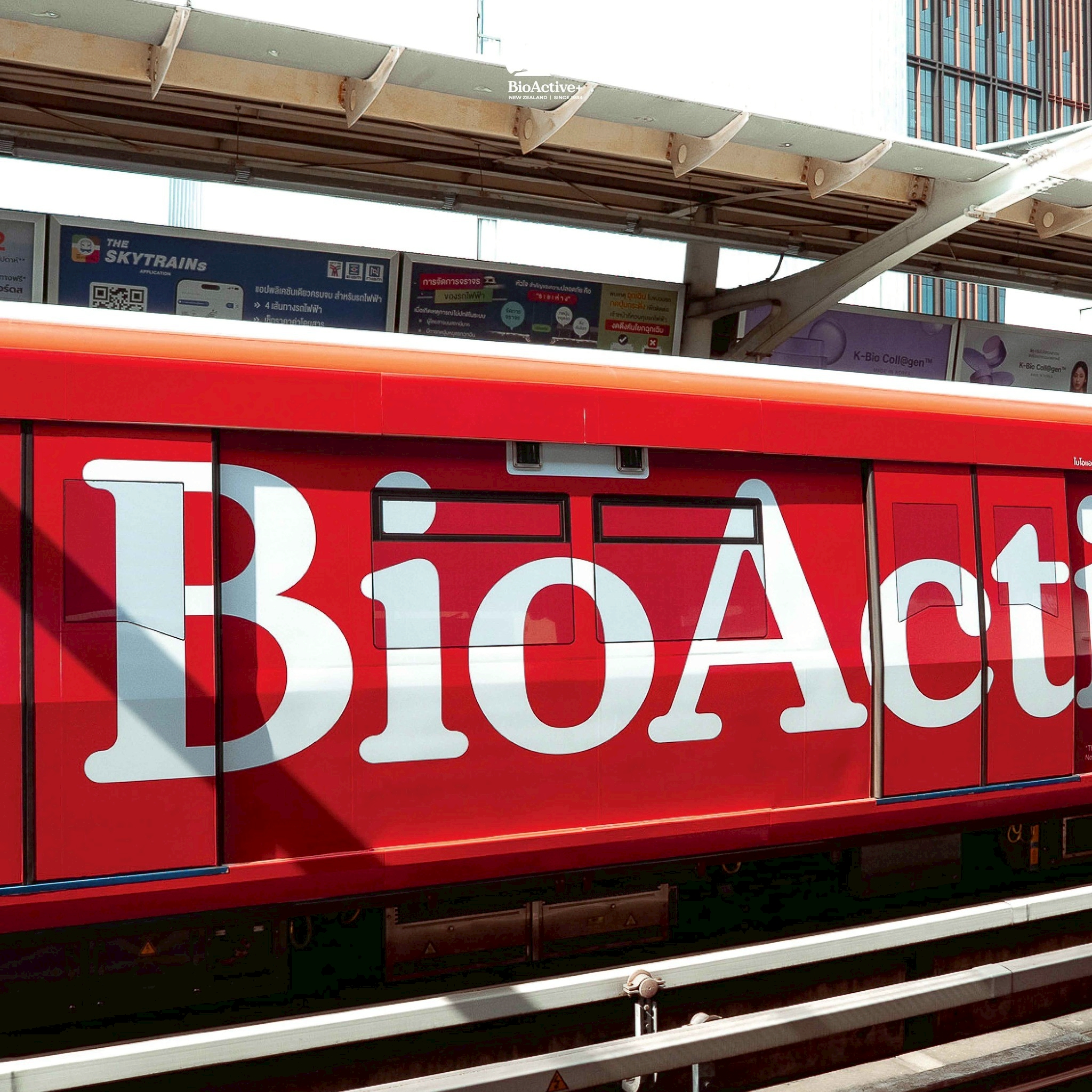 ❤️ Paint the Town RED: ปรากฏการณ์ความแดงที่จะปลุกพลัง BioActive+ ในตัวคุณ!