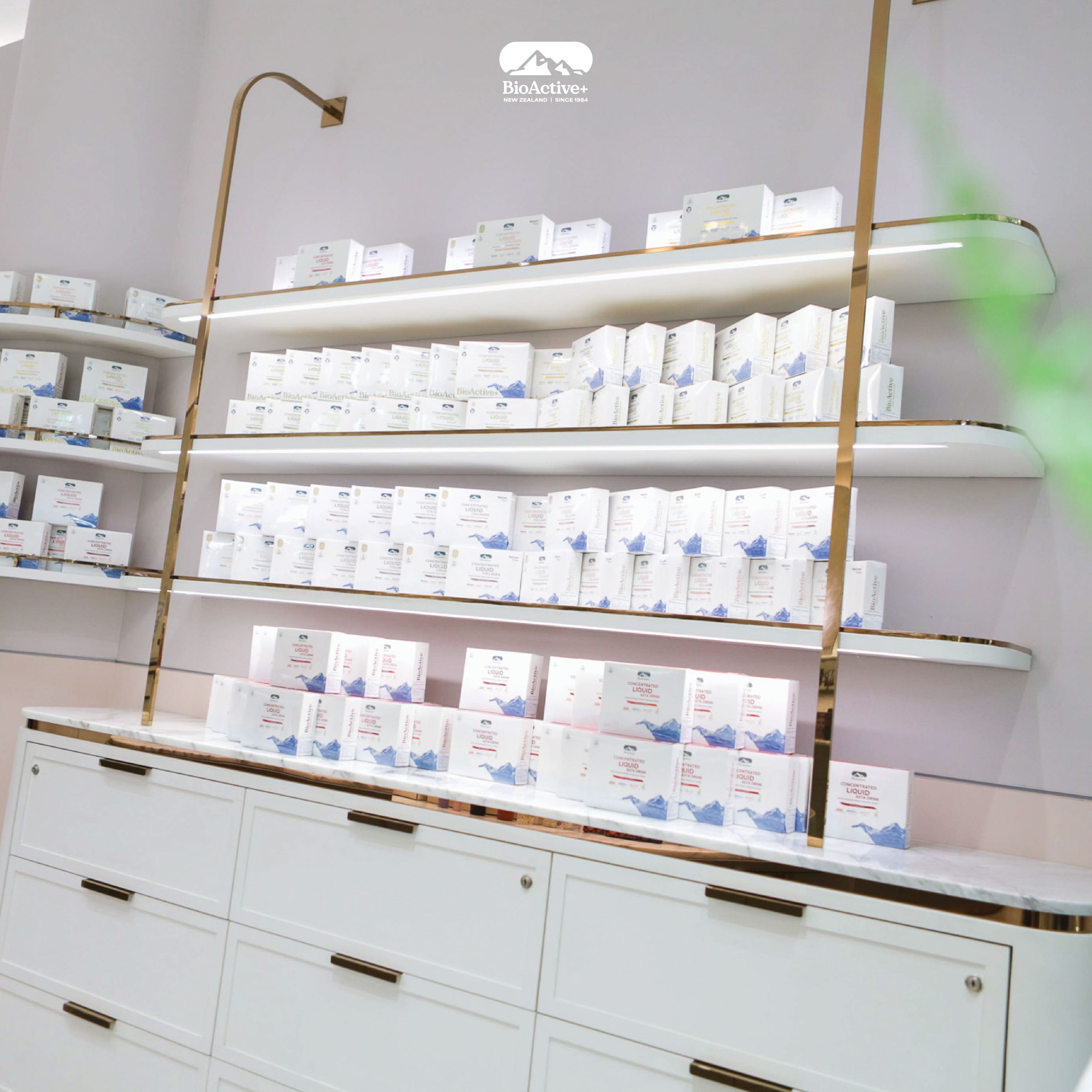 เจาะลึก 7 สารสกัดระดับโลกใน BioActive+ สูตรคอลลาเจนน้ำเข้มข้นที่รวม “ที่สุด” มาไว้ในหลอดเดียว! ✨